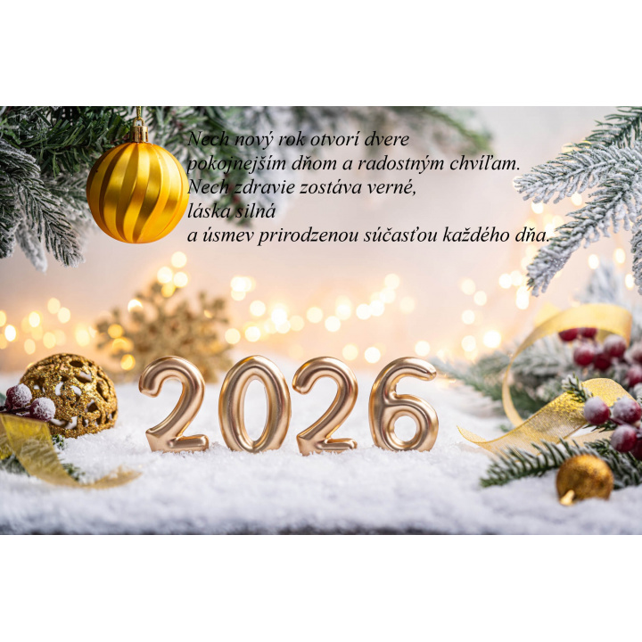 Silvester v našej obci